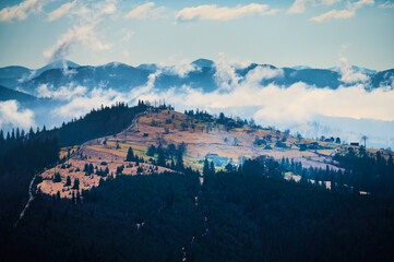 Obraz premium Remote hillside settlement surrounded by conifer forest and low clouds in mountain countryside. Suitable for tourism, rural living, and atmospheric nature concepts
