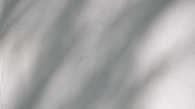 Soft, natural leaf shadows dancing on a white textured concrete wall, creating an aesthetic abstract background.
