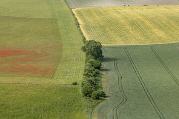 A full frame photograph looking down at farmland in  rural Sussex, viewed from Firle Beacon © lemanieh