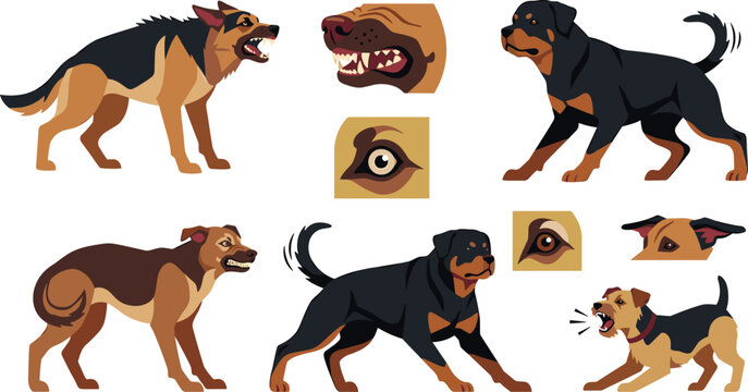 Aggressive Dog Vector Set with Angry German Shepherd, Rottweiler, and Barking Dogs in Action Poses for Animal and Guard Designs