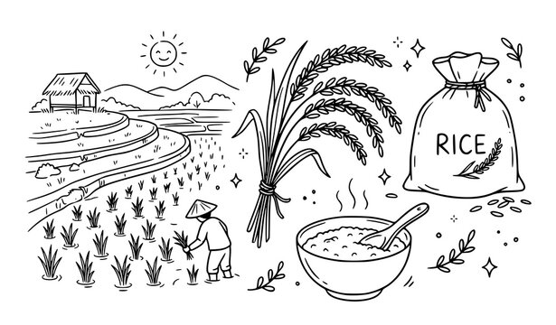 Rice Farming and Harvest Illustration Collection for Agriculture Designs