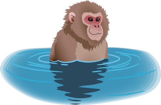 Just_Monkey