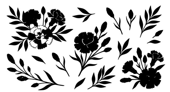 Floral silhouette element set featuring carnation bouquet branches leaves buds for wedding invitations and botanical designs