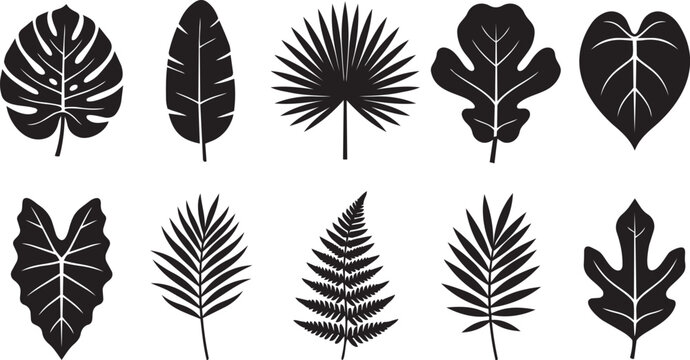 Tropical Leaves Silhouette Bundle Vector Art Design