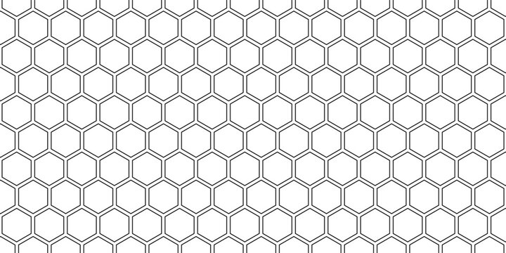 Seamless pattern with outline hexagon grid. Honeycomb net backdrop. Abstract background with geometric line grille. Black hexagon mesh, vector illustration