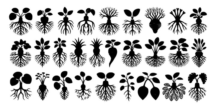 Silhouette of a Leafless Tree Collection of Decorative Botanical Icons on White Background Featuring Plant Motif, Vector Style, Graphic Pattern