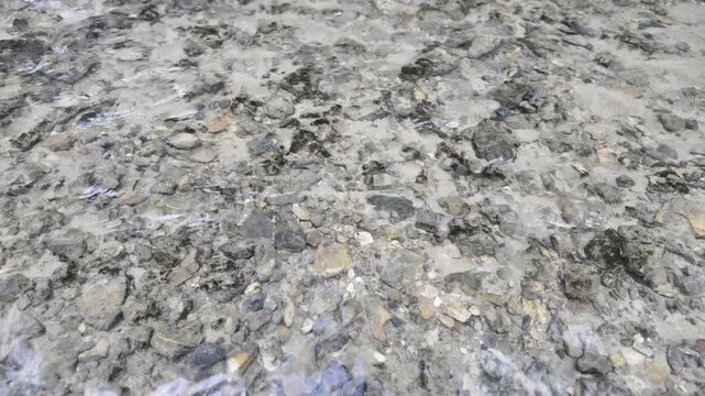 Clear water flows over a shallow riverbed covered with dark stones and gravel. Numerous rocks and pebbles are visible through the transparent moving stream in daylight.