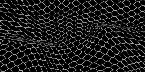 Fishing or soccer net. Repeated hexagon pattern. Black wired mesh texture isolated on white background.ilustrasion modern. © laily