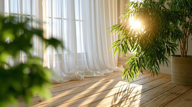 Warm sunlight illuminating a serene home environment, highlighting a potted green plant and a light natural wood floor, conveying concepts of tranquility, wellness, and growth