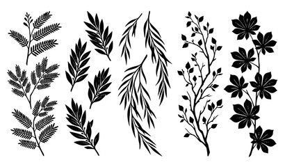 Set of long botanical branches and leaves silhouettes vector illustration. Decorative foliage and fern design © SobujChandra