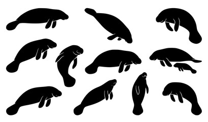 Manatee Silhouette Set Marine Mammal Vector Collection © SobujChandra