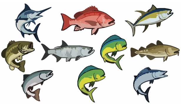Colorful Fish Species Collection Vector Set