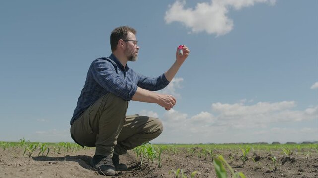 Agronomist closing and inspecting soil sample vial in corn field, Part 3
