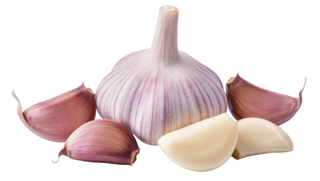 Isolated fresh garlic head and aromatic cloves, both peeled and unpeeled, for cooking spice