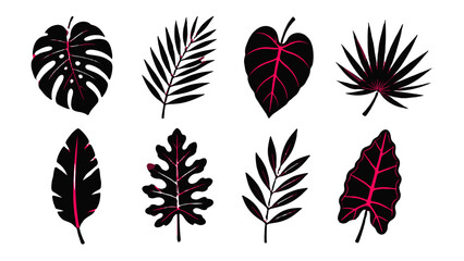 Set of stylized tropical leaf silhouettes in black and pink © Alan