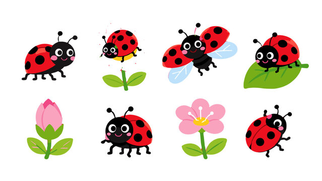 Cute ladybug cartoon set with flowers and leaves