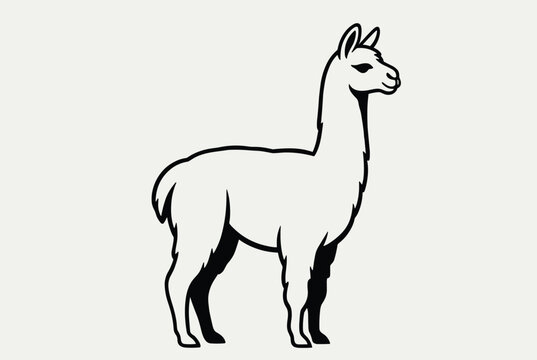 Simple black and white line art drawing of a llama or alpaca standing in profile against a light gray background for coloring.