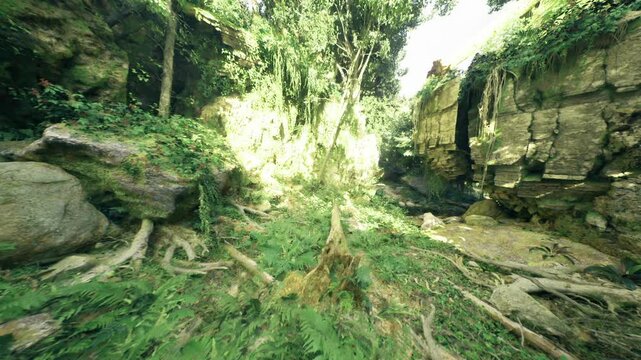 sunlit mossy canyon with fallen log and ferns, dappled light on rock face, cool humid atmosphere, ideal for nature photographer or botanist survey, serene