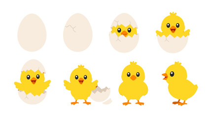 Cute yellow chick hatching from egg sequence vector set © Alan