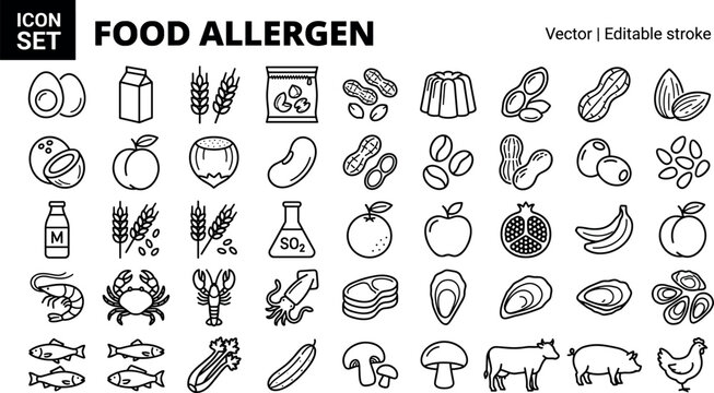 Collection of food allergen line icons vector illustrations featuring common intolerance triggers like milk nuts wheat seafood eggs and meat.