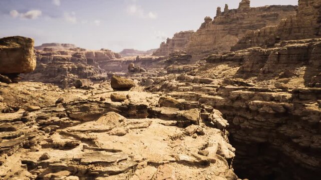 exposed fossilrich sandstone bench revealing stratified layers and fossil impressions under bright sun, scientific atmosphere for paleontology, education