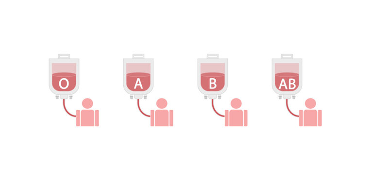 ABO Blood groups. four blood types, A,B, AB and O groups, made up from combinations of the type A and type B antigens. Abo Blood Compatibility. Blood donation. Blood transfusion. Vector illustration.