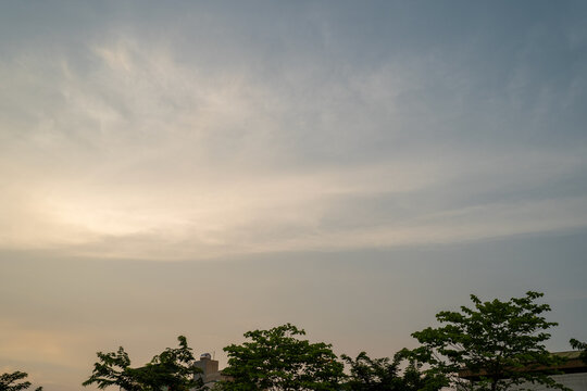 Serene evening sky with soft clouds above lush green trees.