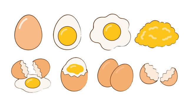 Set of egg cooking stages and cracked eggs vector illustration