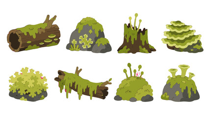 Cartoon forest moss, lichen, rocks, stumps and fallen logs set © Alan