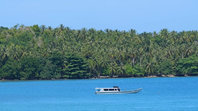 Surf boat taxi rests on calm blue water with dense wall of palm trees stretching along the beach. Quiet beauty of tropical coastline in West Sumatra, famous tourist destination for adventurous surfers