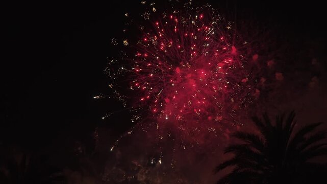 Beautiful bright red and gold fireworks exploding in the dark night sky over silhouette of palm trees celebratory background