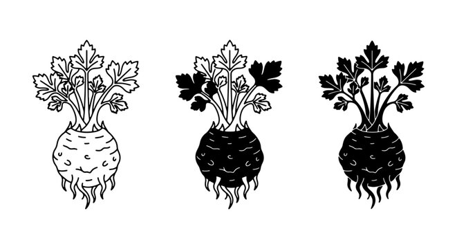 Celery Root Vector Icons: Black, White, and Outline Styles for Healthy Food and Organic Farming Graphics