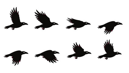 Obraz premium Set of black crow silhouettes in different flying poses