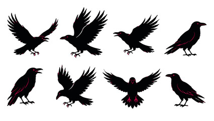 Obraz premium Set of black crow silhouettes in flying and standing poses