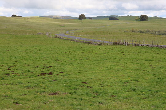 Plateau de l'Aubrac, commune de Saint-Ch&eacute;ly-d'Aubrac (Occitanie, Aveyron, France)