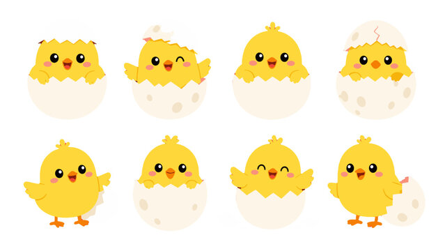 Cute yellow chicks hatching from eggs cartoon set