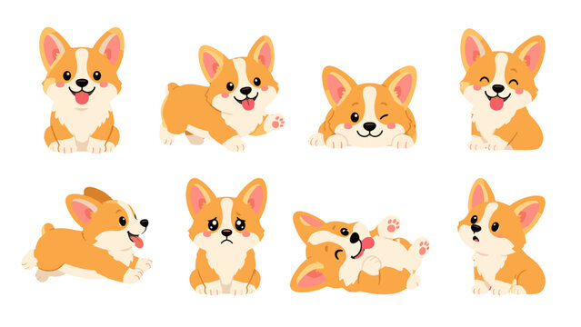 Cute corgi dog character set with different poses and expressions