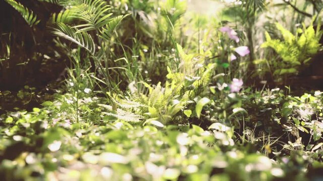 Tranquil floral view. Serene garden scene display. Calm outdoor space with blooming violets. Quiet courtyard bathed in sunlight with gentle violet blossoms