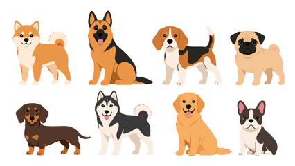 Cartoon dog breed collection isolated on white background © Alan