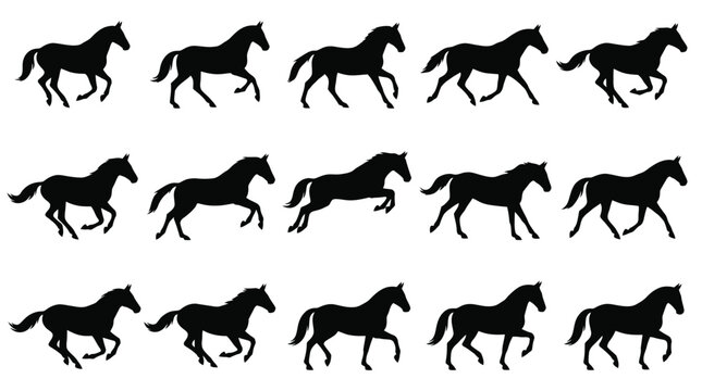 Fifteen detailed black horse silhouettes depicting various stages of a dynamic galloping movement captured in a sequence for animation and design projects isolated as a set on white background