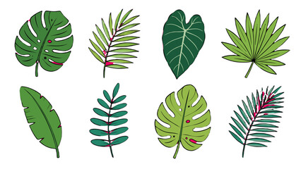 Set of hand drawn tropical leaves isolated on white background © icon_art