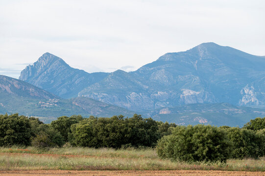 Panoramic view of Sierra de Guara mountain range peaks behind an oak forest at overcast day.