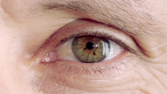 Blink, vision and sight with closeup of eye for retina health, optometry and lens prescription test. Ophthalmology, iris and perception with eyeball of person for cornea, focus and ocular screening
