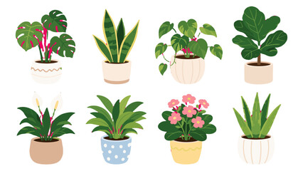 Set of potted houseplants in flat vector illustration style © icon_art