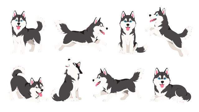 Set of cartoon husky dog poses isolated on white background