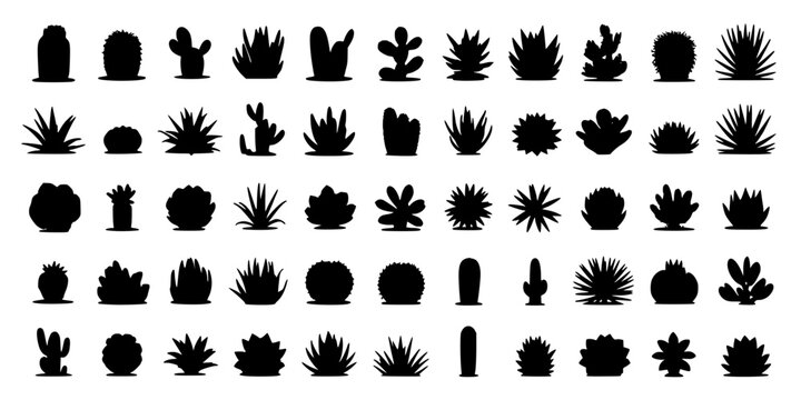 Cactus Silhouette Icon Set of Desert Plants with Varied Shapes and Spines on a Clean Monochrome Background