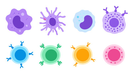 Obraz premium Colorful immune and blood cell icons set on white background
