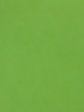 Fondo de color verde s&oacute;lido