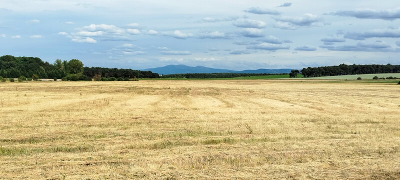 Campo agr&iacute;cola cosechado bajo cielo nublado