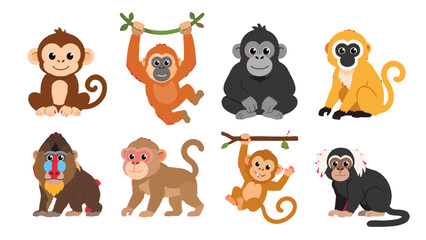Cute cartoon monkey and ape characters set on white background © icon_art